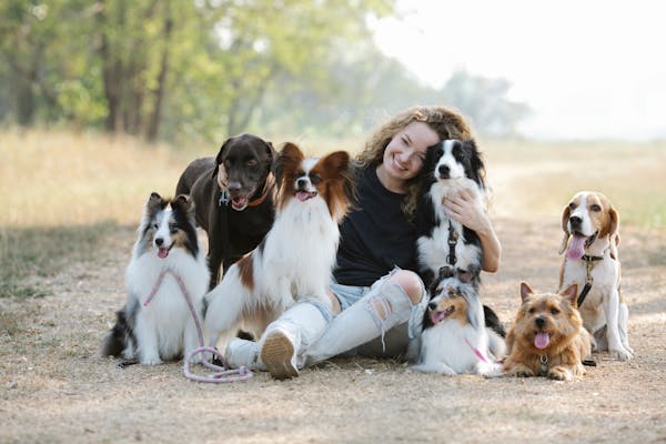 Dog walking service